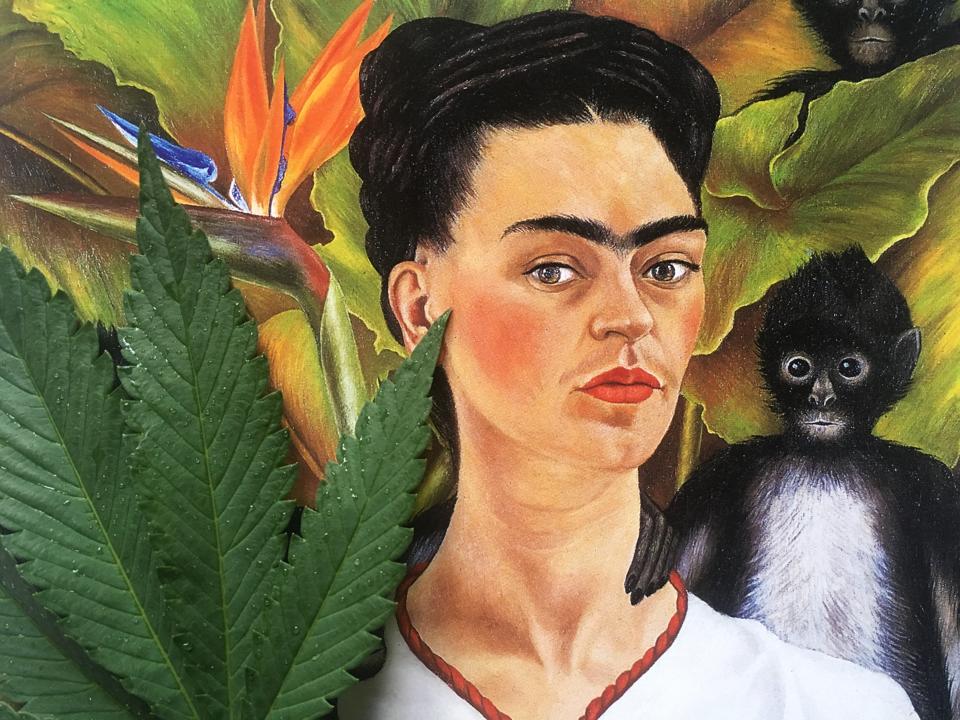 Cannabis And Frida Kahlo