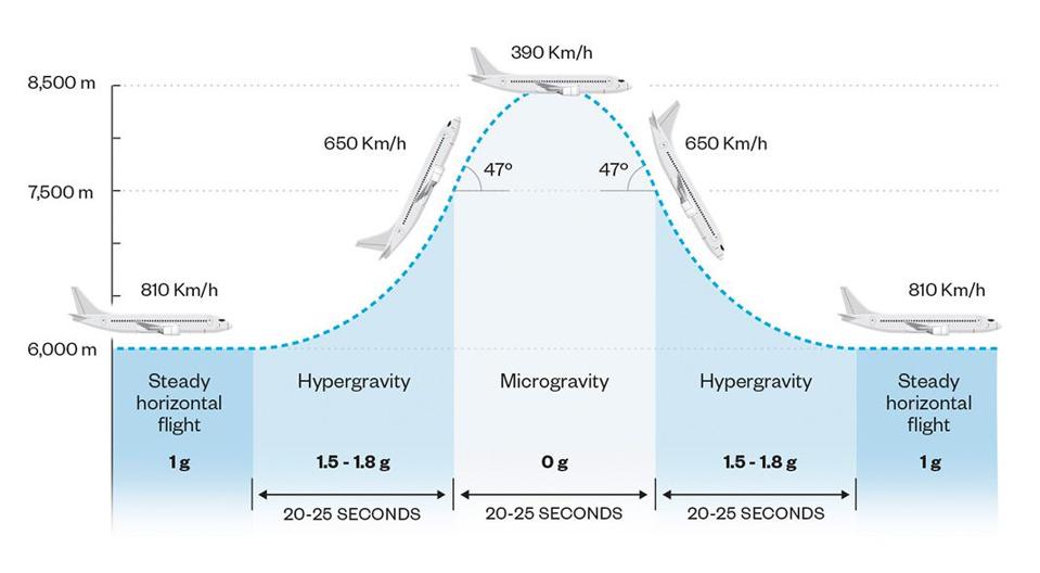 Stages of parabolic flight