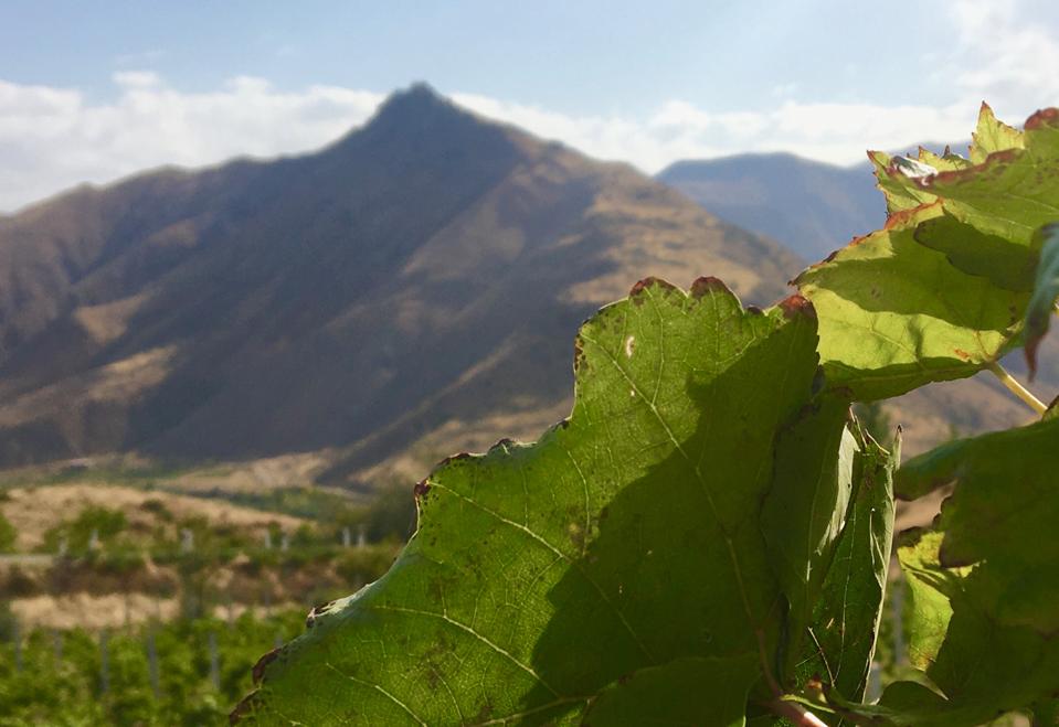 Vayots Dzor wine region in Armenia