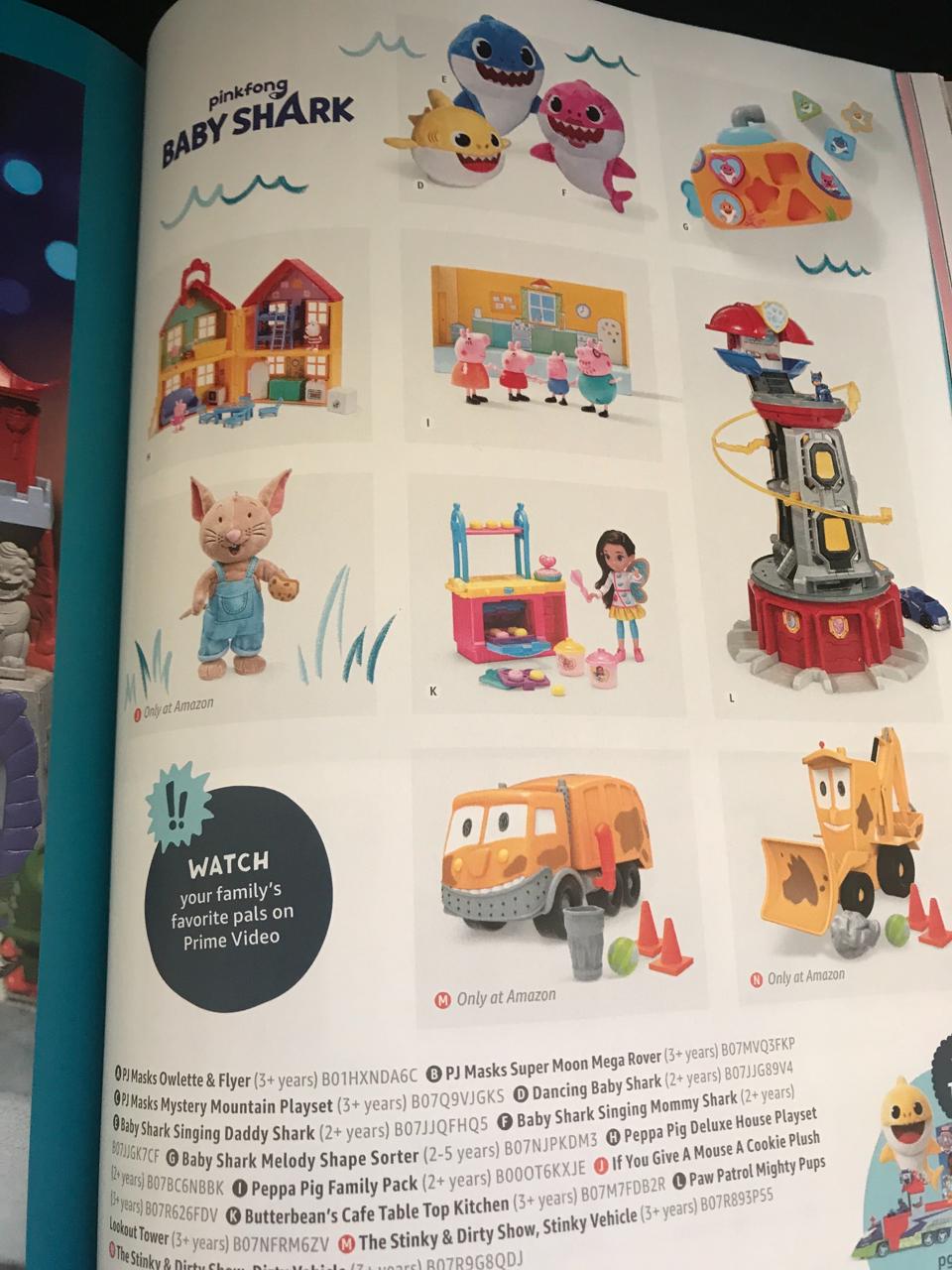 Amazon Catalog 2025