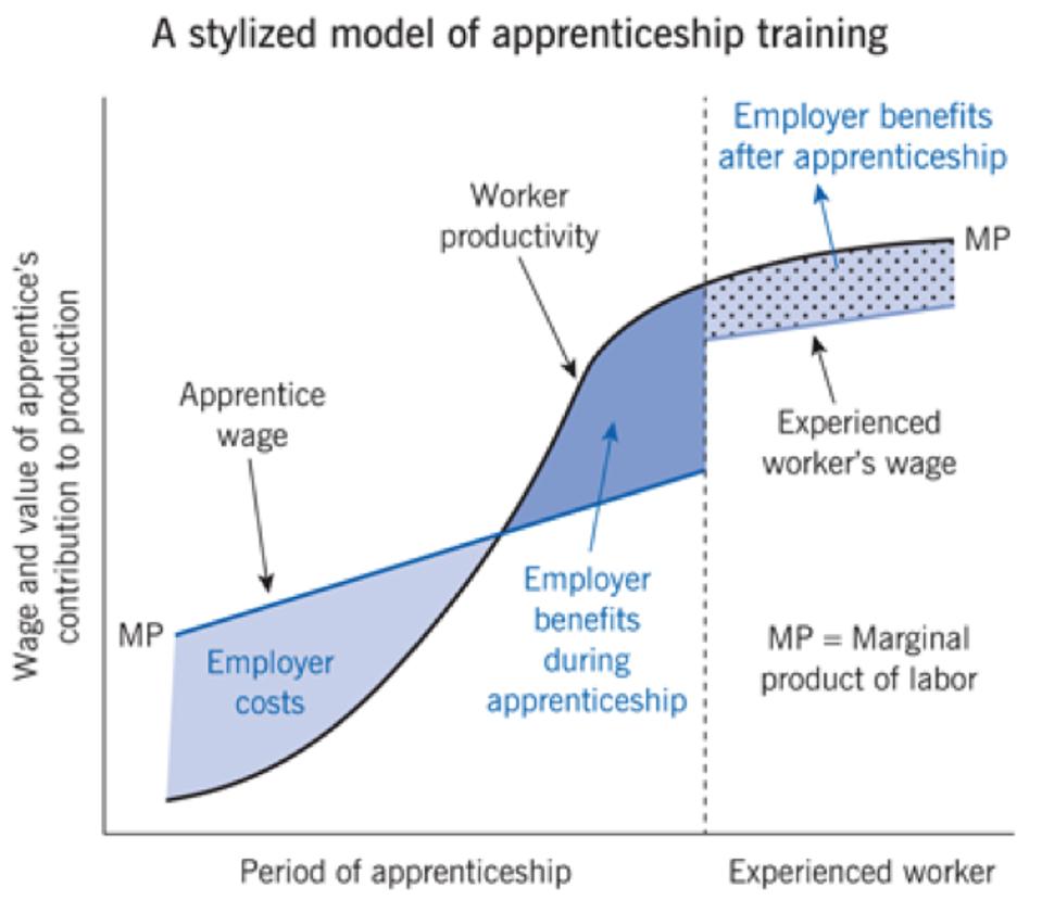 A stylized model of Apprenticeship Training