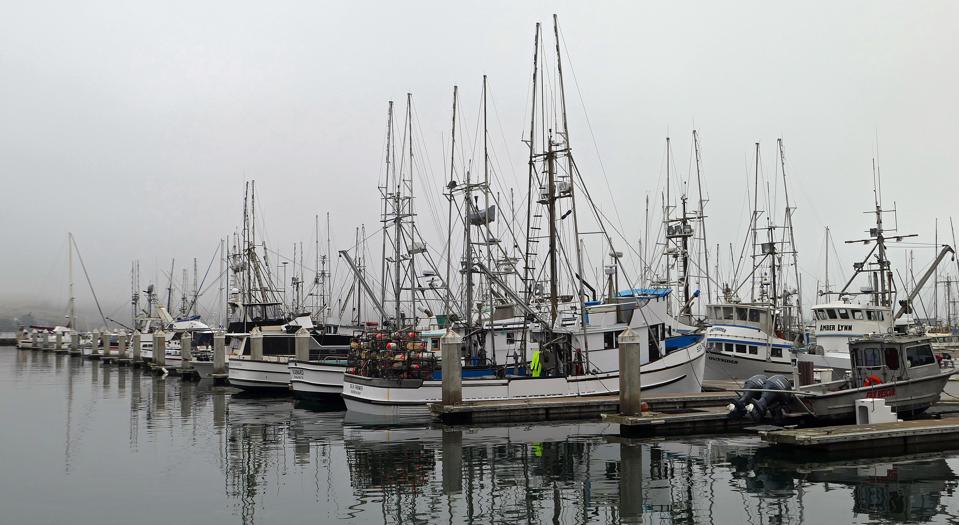 In Bodega Bay, Dungeness Crab Is King And The Season Starts Soon In Bodega Bay, Dungeness Crab Is King And The Season Starts Soon