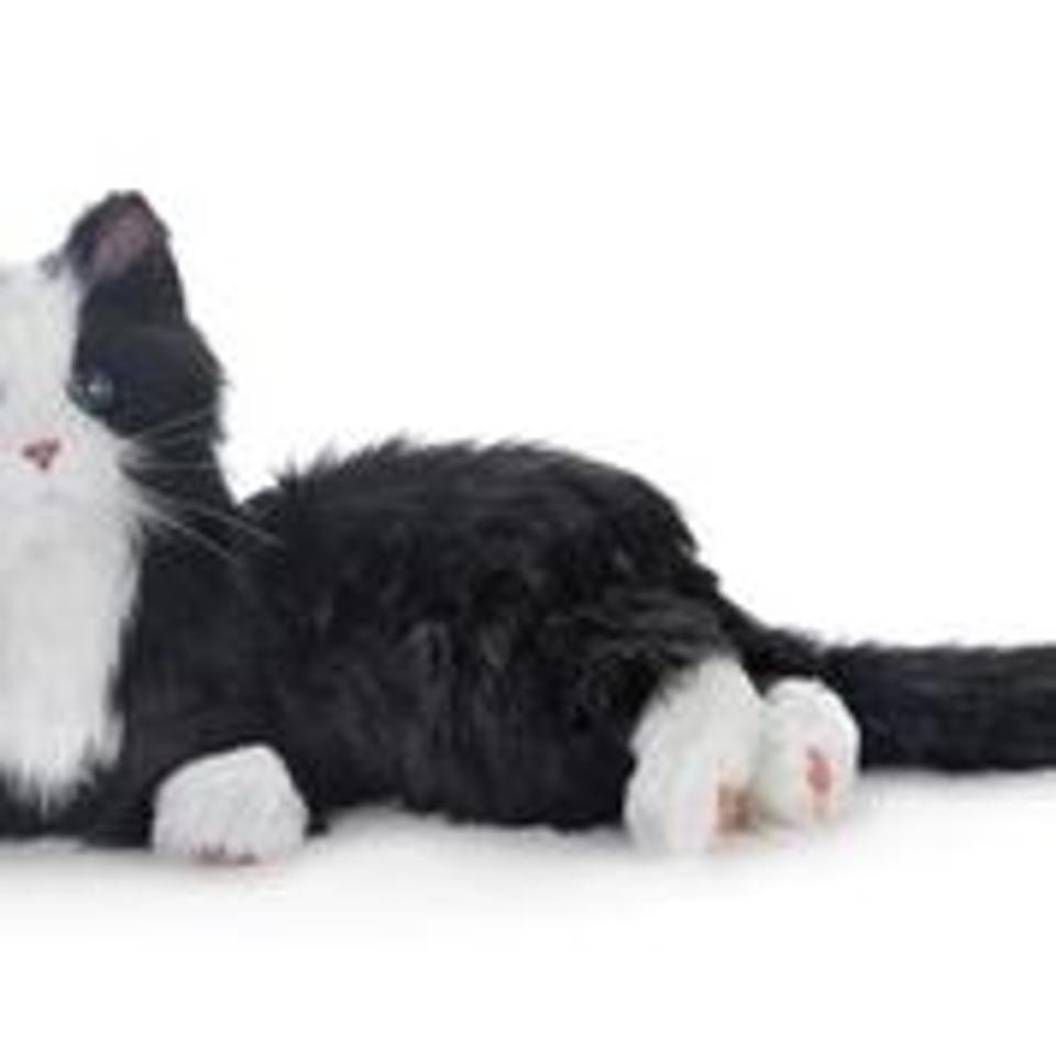 Stuffed Animals Aren T Just For Children Anymore