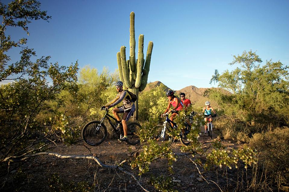 REI Arizona Mountain Biking