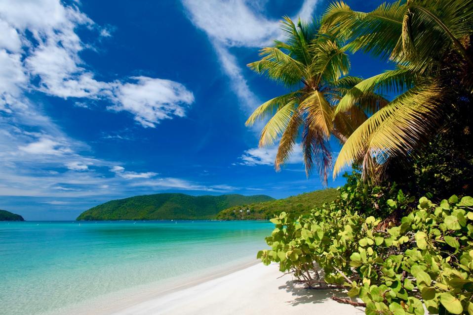 Escape To The Tropics: The Top Five Caribbean Islands To Visit This Winter