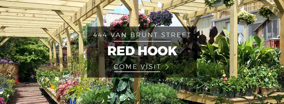 Swaim Hutson Shares His Little Black Book Of New York