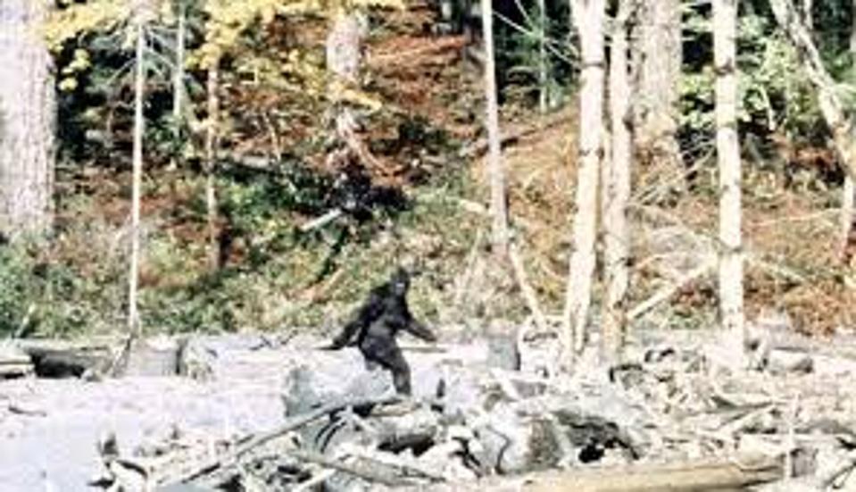 In Search Of Bigfoot: A Televised Expedition May Prove The Elusive Beast Is Real