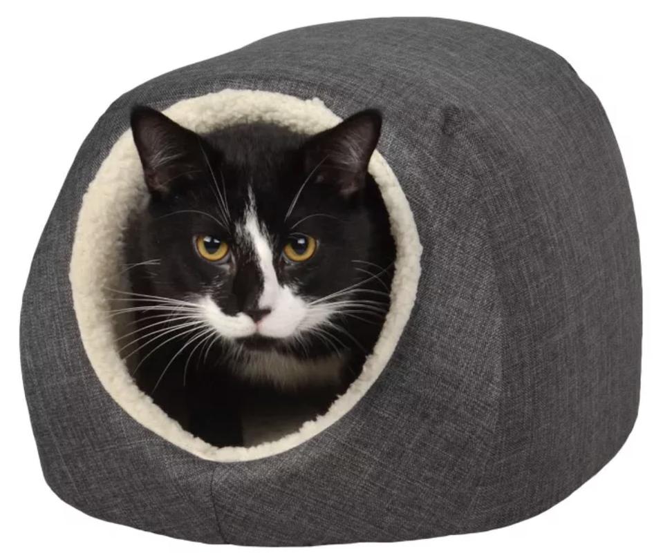 Boots & Barkley pet bed