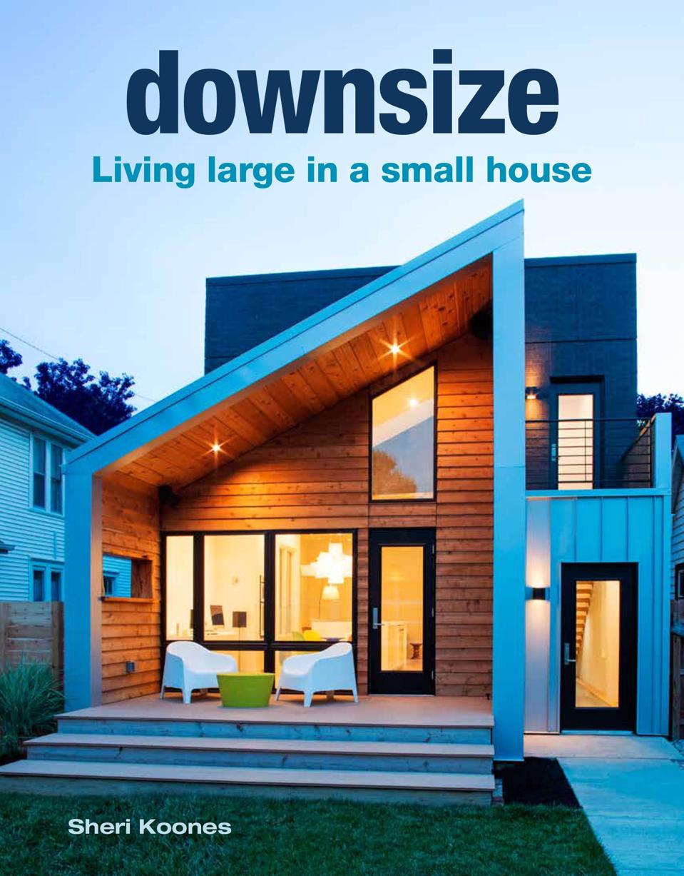 cover of the book Downsizing