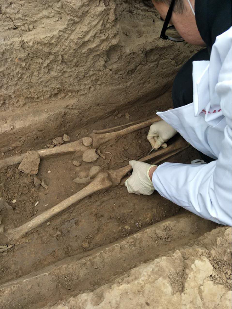 Infant remains from Huigou site, Henan Province, China