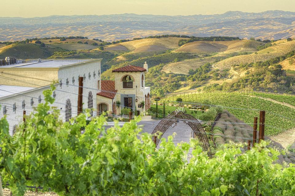 Data Drinks A Look At A Cult California Winery Business Quick Magazine