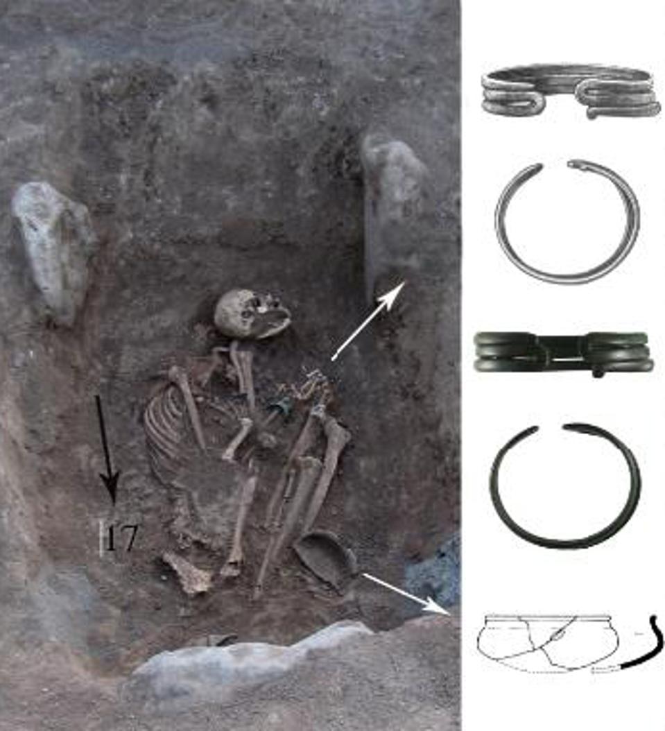 archaeologists discover amazon warrior in ancient armenian grave