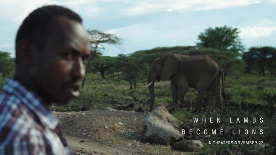 elephants, extinction, poaching, conservation Africa, Asia, ivory trade, poachers versus rangers
