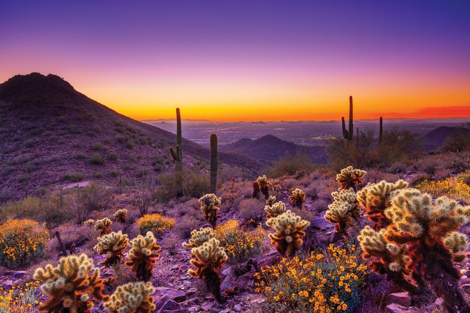 A Trifecta Of Art Architecture And Natural Landscape Is The Real Draw Of Scottsdale Arizona