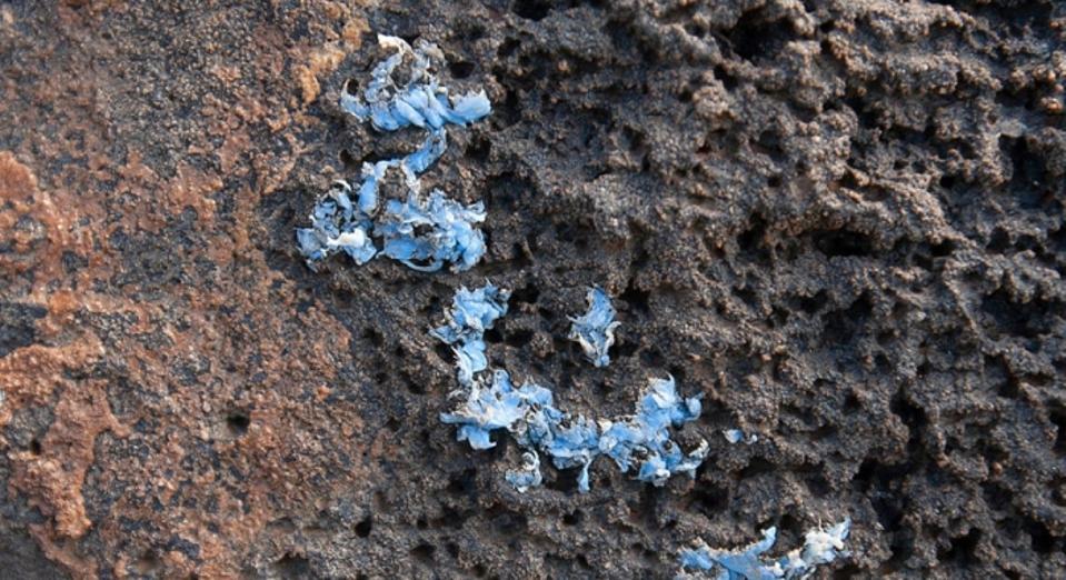 Plasticrust observed on a rocky cliff of the island of Madeira.