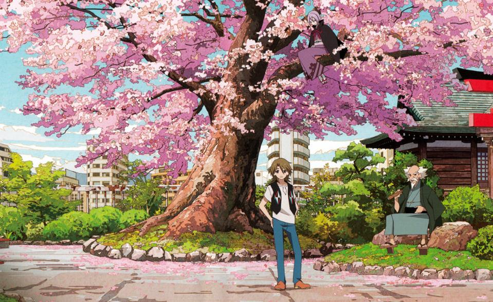Sakura Blossoms Anime Wallpapers Wallpaper Cave