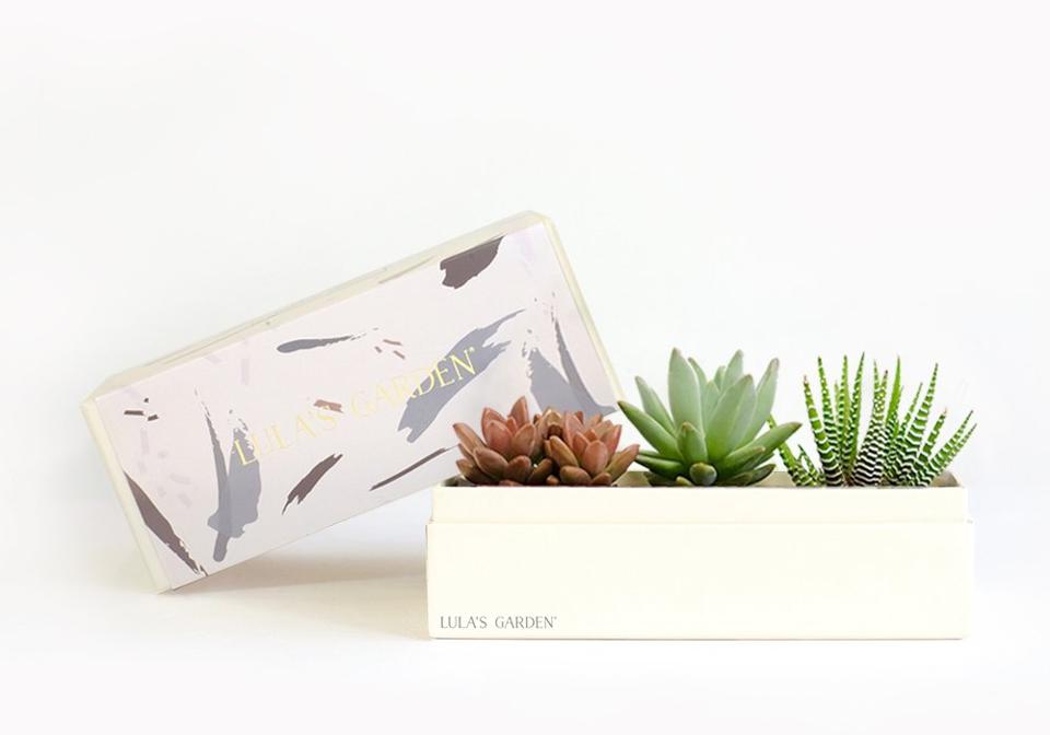 Holiday Gift Guide 2019 If You Re Searching For The Best Hostess