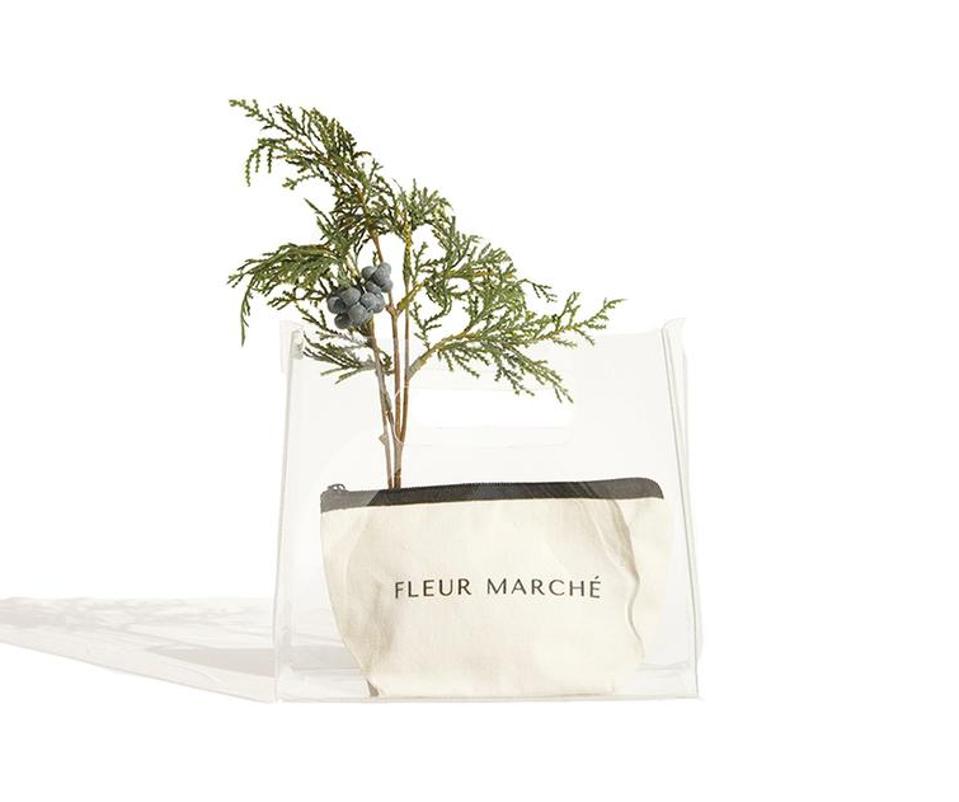 CBD Based Wellness Products from Cannabis Apothecary Fleur Marche