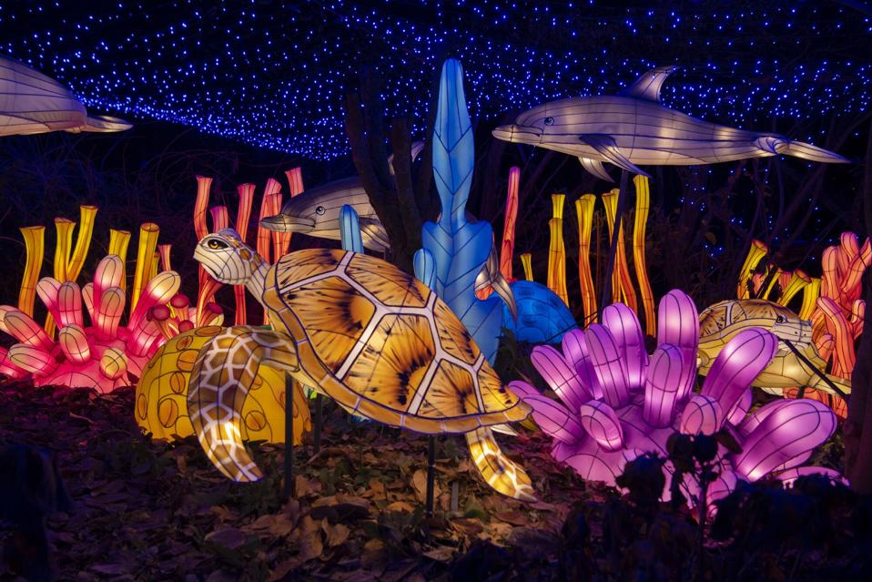 The Best Night-Time Jungle Experience You’ll Have: The Bronx Zoo And