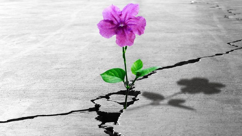 Argentina is on the verge of a new economic disaster