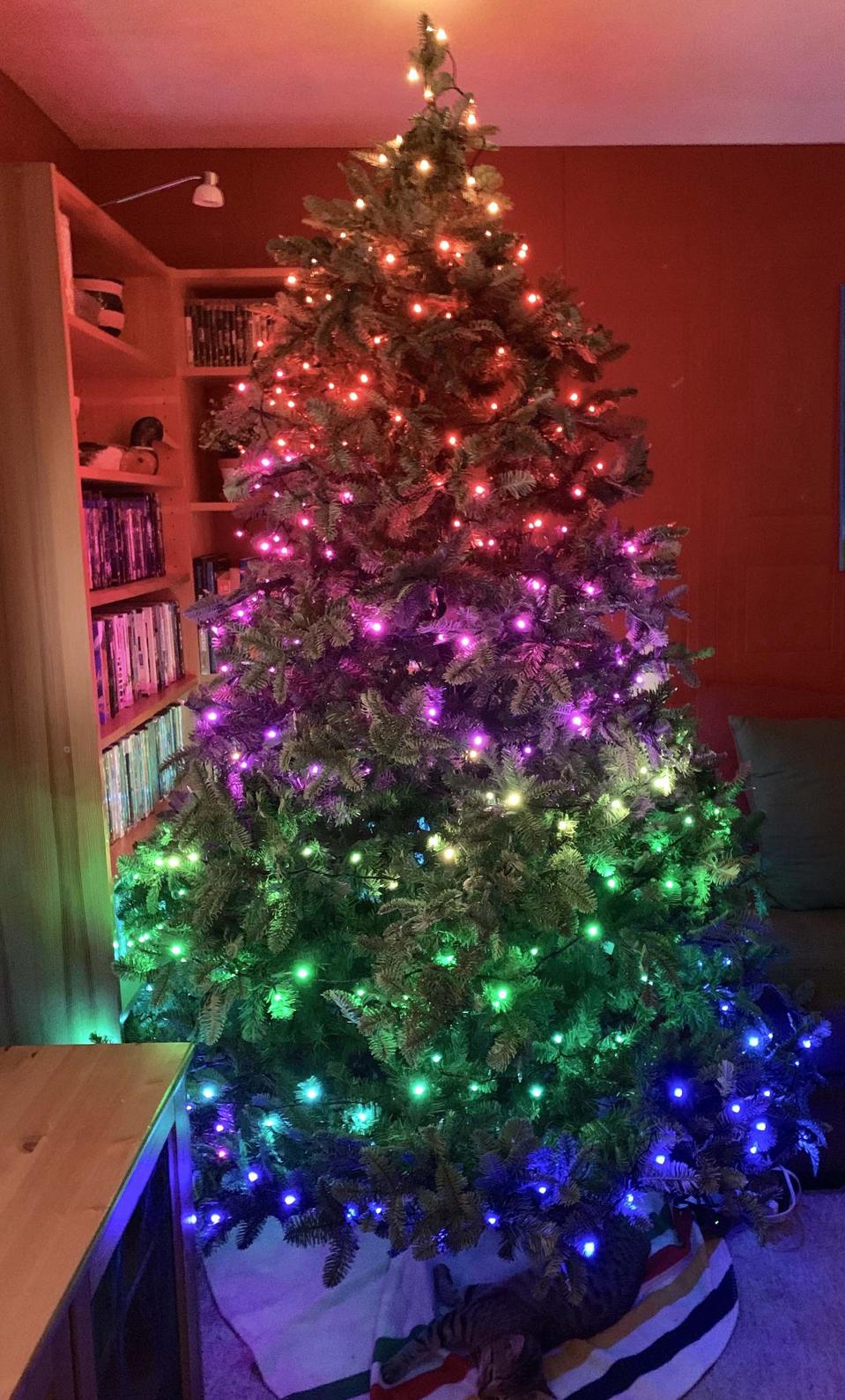 Twinkly: These Are The Smart LED Holiday Lights You Want