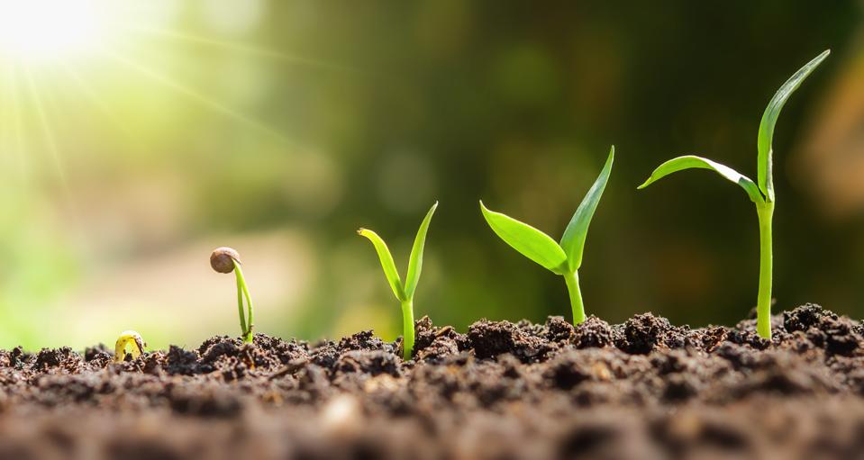 How To Grow Your Crypto Tax-Free