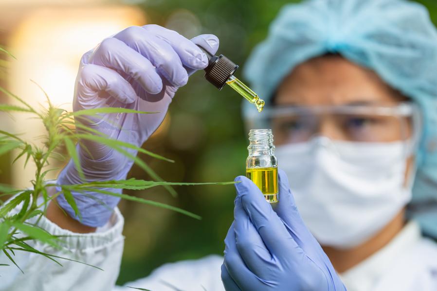 To Unlock the Potential of Cannabis, The Industry Needs More Research