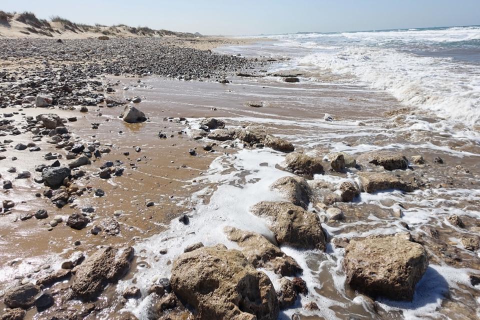 7000-Year-Old Seawall Is Earliest Known Coastal Defense Against Sea ...