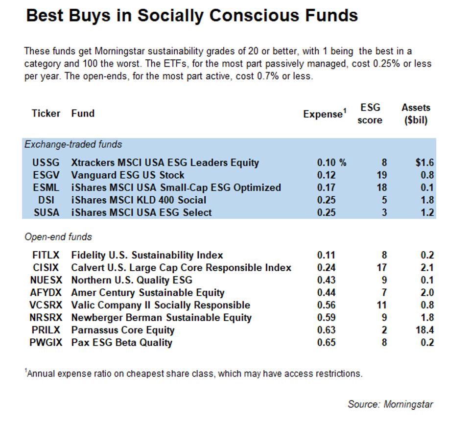Best buys in socially conscious funds