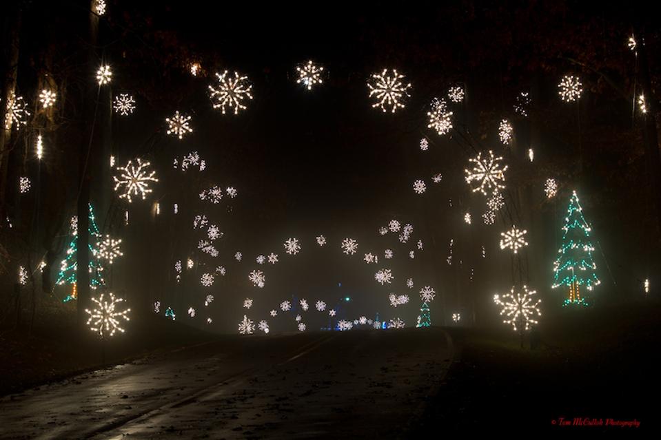 Best Holiday Light Displays Across The U S