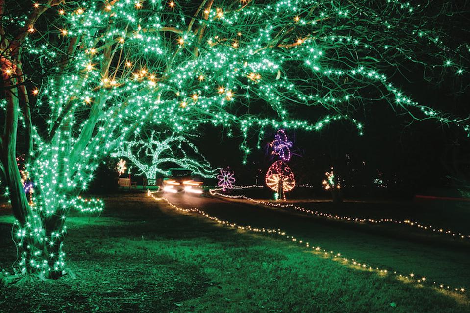 Best Holiday Light Displays Across The U S