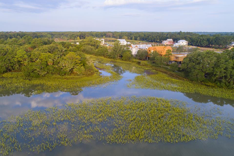 Kiawah River Homesite in its natural habitat.