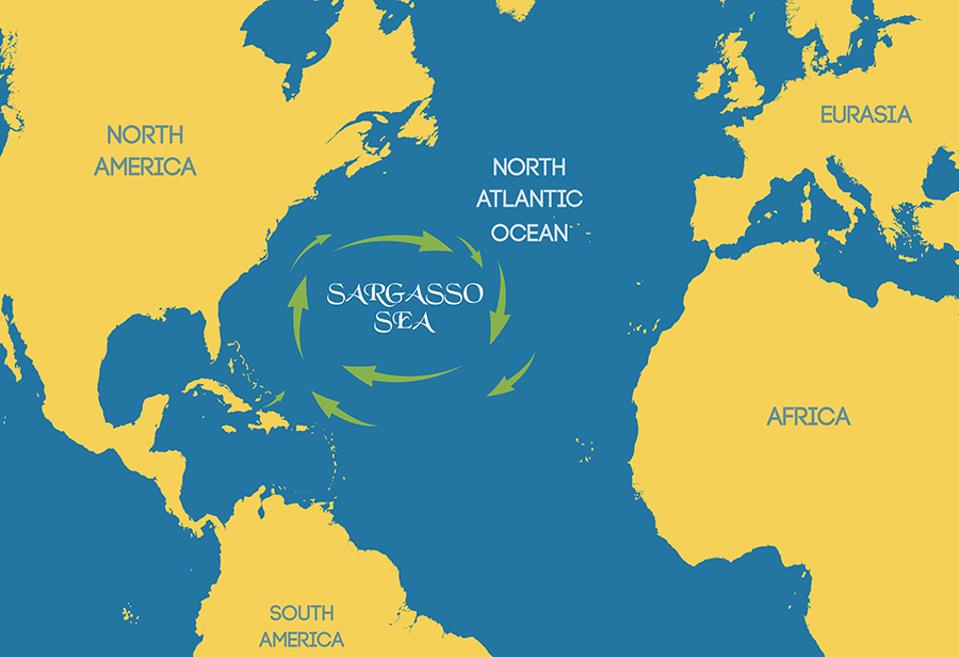 Map of the Sargasso Sea.