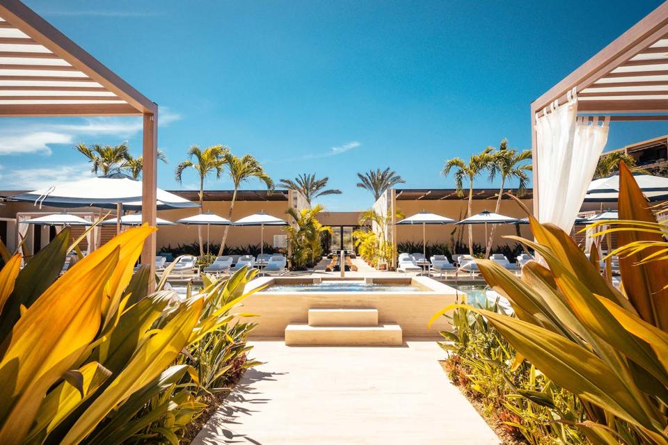 Montage Los Cabos Spa Pool Twin Dolphins