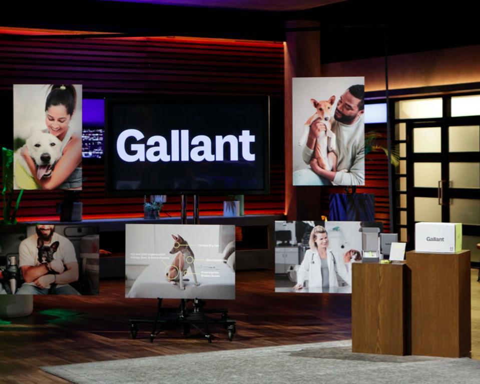 Gallant on Shark Tank