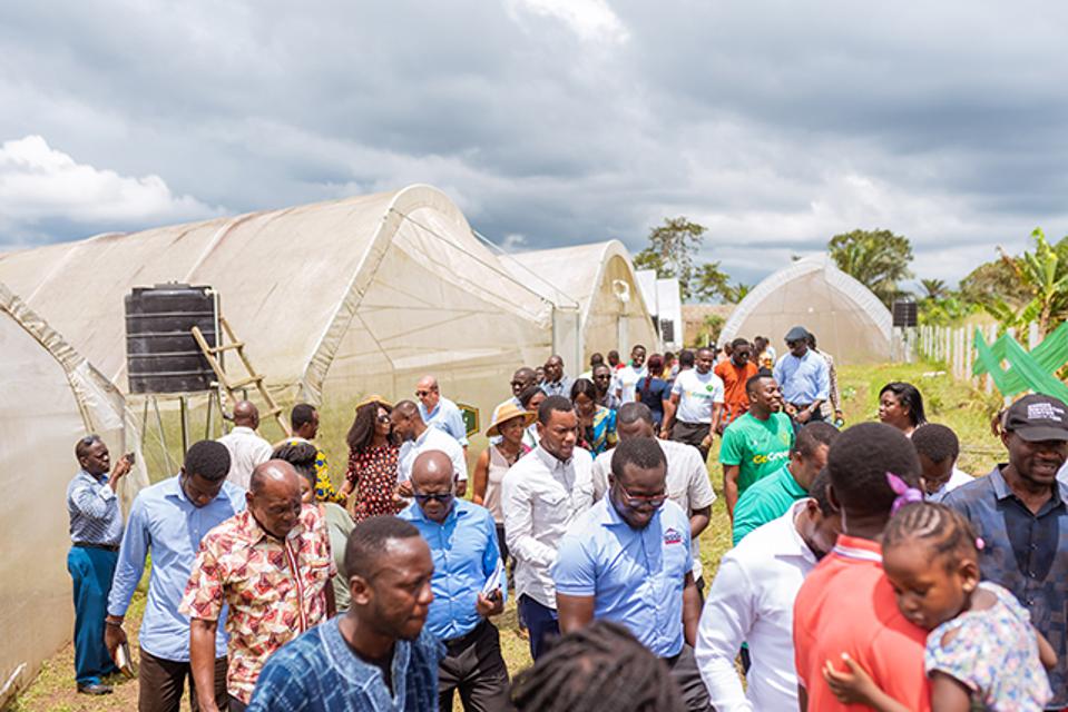 Startup TechShelta celebrates the opening of its greenhouse village in Ghana.