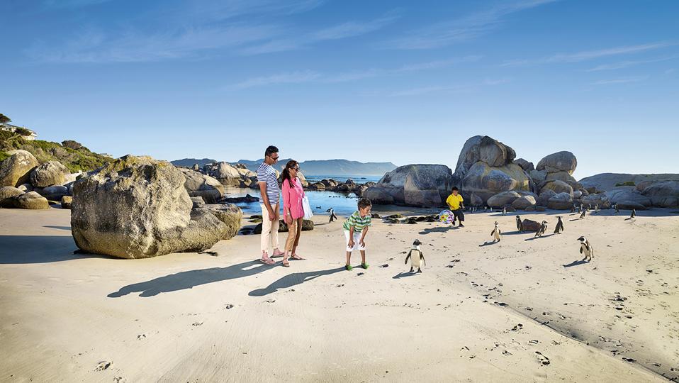 Boulder Beach in Cape Town