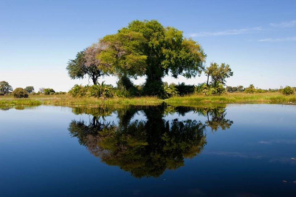 Sailing-Stream.fr ⚓ Les 20 nouveaux hôtels internationaux les plus excitants à découvrir en 2020 ⚓ Xigera