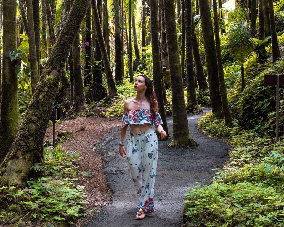 Island of Hawaii cheap travel