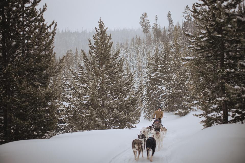Dog Sledding Lone Mountain Ranch Big Sky Montana