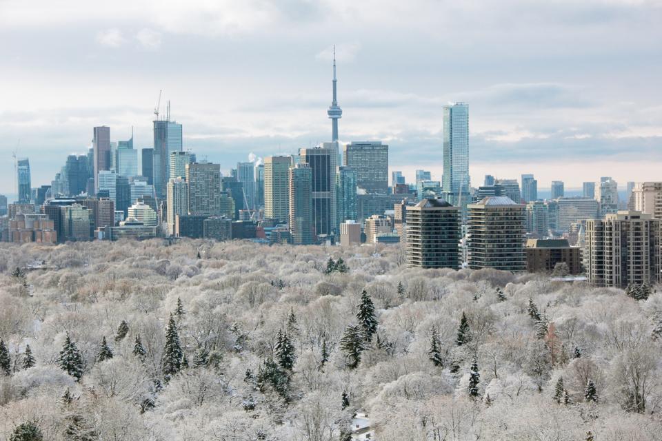 Wonderful Winter Activities To Do In Toronto