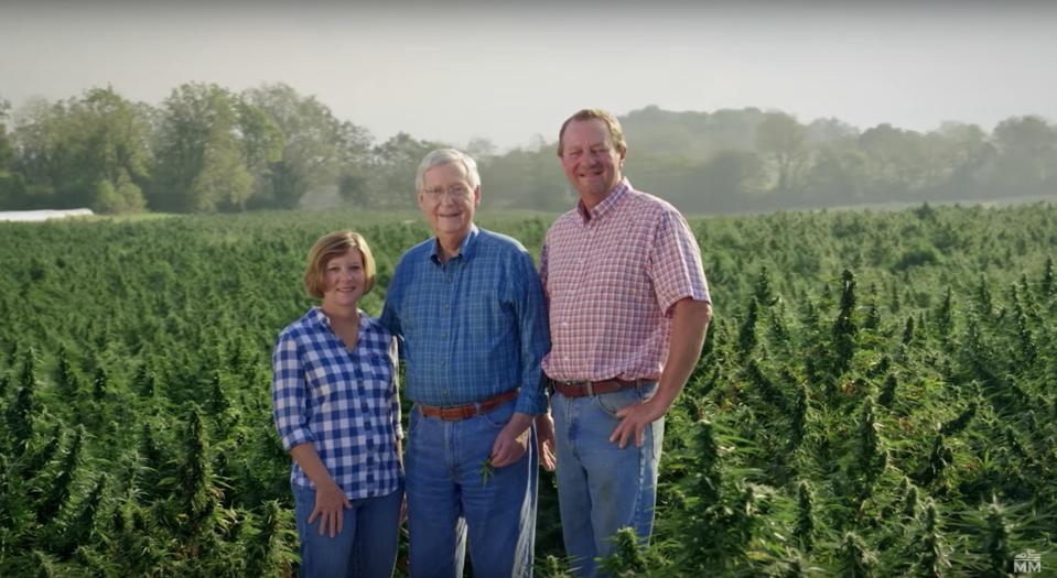 Mitch McConnell Hemp Field