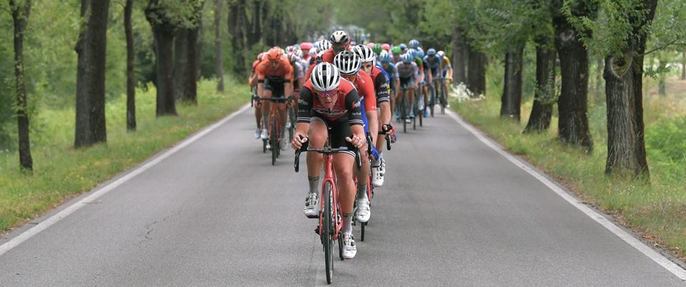 Trek Travel S Vip Tour De France