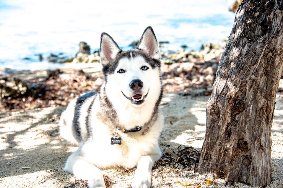 Vacation With A Conscience Baker’s Cay in Key Largo