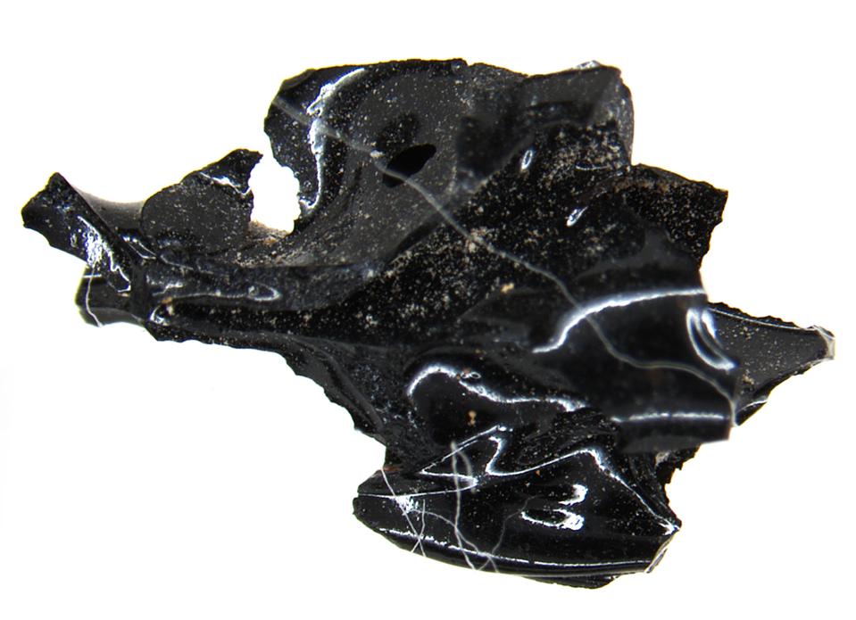 Material found in a skull from Herculaneum, which Petrone and colleagues think is ″vitrified″ brain matter.