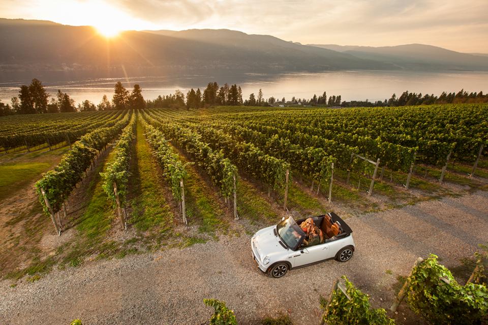Take A Wine Tour Around Kelowna Even If You Know Nothing About Wine