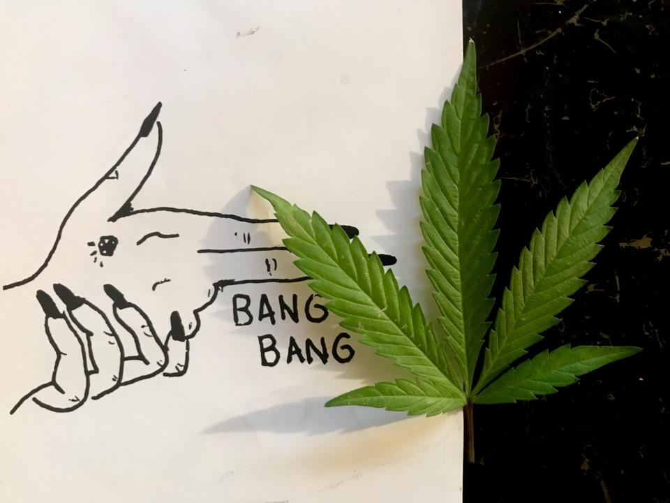 Has Big Cannabis Lost Its Buzz Marijuana Stocks Suffer As Markets Experience A Correction