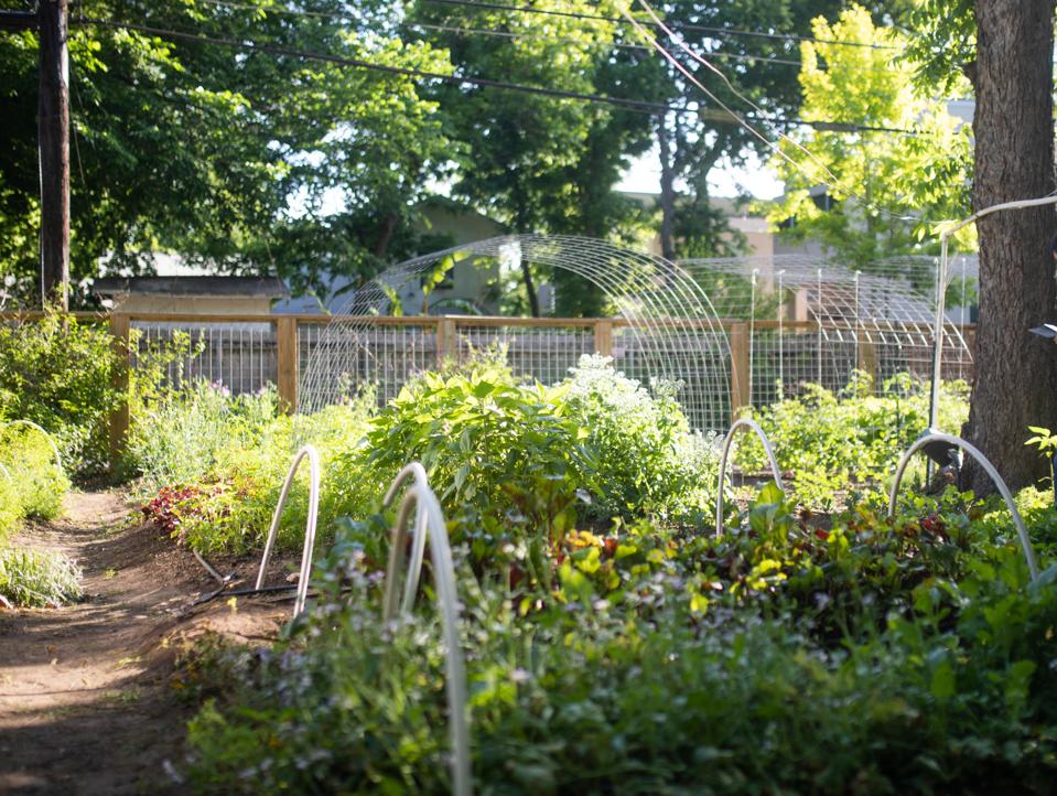 How A Secret Garden Fuels The Concept At This Acclaimed East