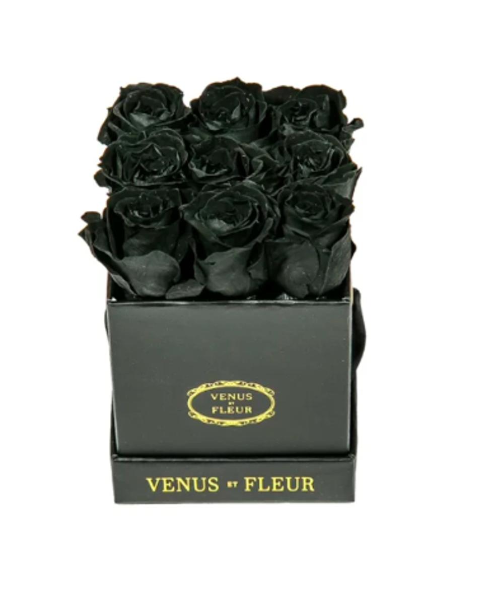 venus et fleur bear