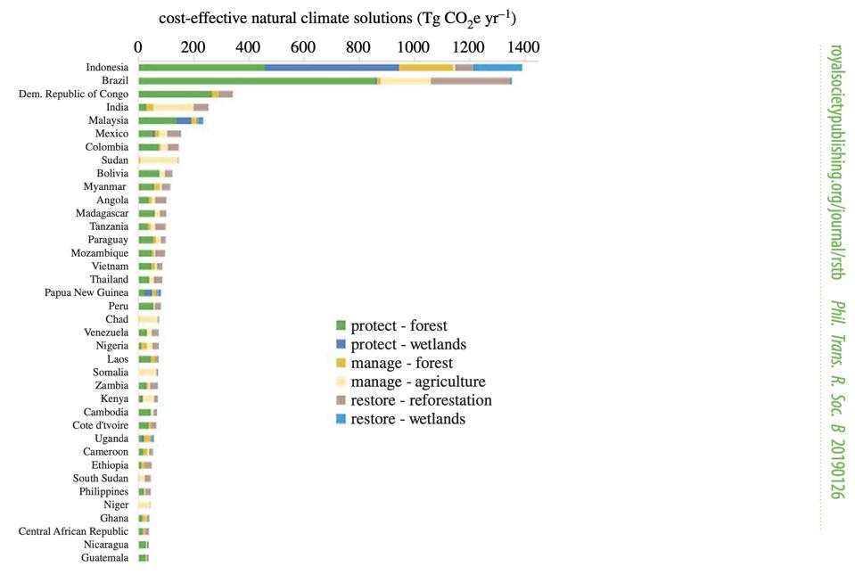 Cost effective natural climate solutions could reverse carbon emissions in these tropical countries.